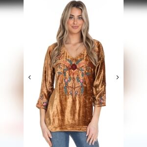 Tru Luxe Jeans Women's Embroidered V-neck Bronze Velvet Boho Top Size XL